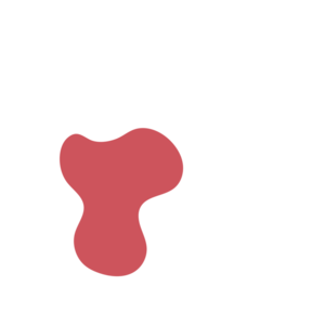 93a346b2-placeholder-1769995231