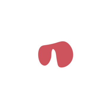 E46709aa-placeholder-1770010971