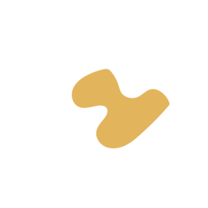 710bd106-placeholder-1770018660