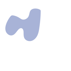 42b4c2c6-placeholder-1770006395