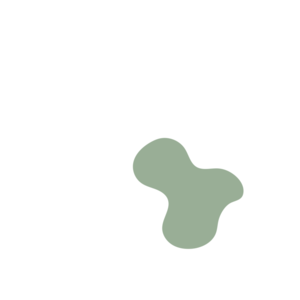 A6fd6cf8-placeholder-1770051970