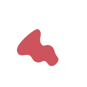 67061d94-placeholder-1768563621