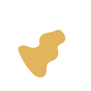 08050132-placeholder-1770011303