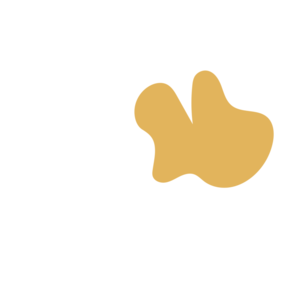 D325f601-placeholder-1770012299