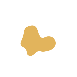 E928e6c9-placeholder-1770052693