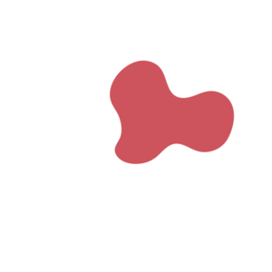 58a4f5a5-placeholder-1770022903