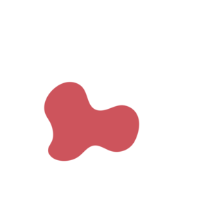 1c28f2c5-placeholder-1769405144