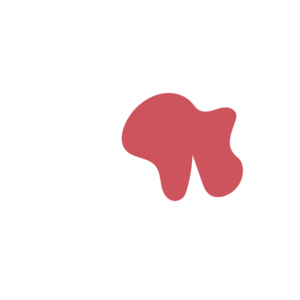 E0570496-placeholder-1770004975