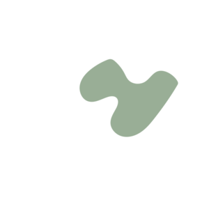 Fbfa4b3e-placeholder-1770020008