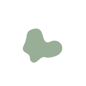 4db088b2-placeholder-1770022399