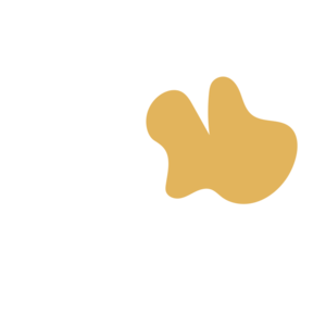 Db090f2c-placeholder-1770017521