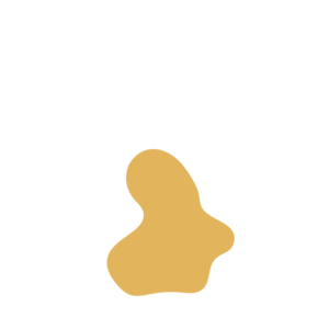 8038e3f4-placeholder-1770011463