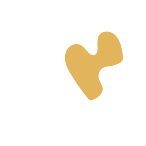 0a7b16b1-placeholder-1770006116