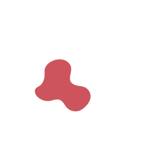 D8bd9839-placeholder-1770006894