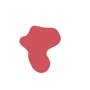 52ec4a51-placeholder-1770016313