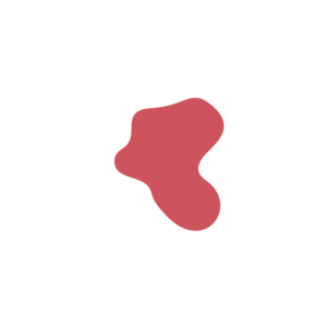 D01102c5-placeholder-1770013540