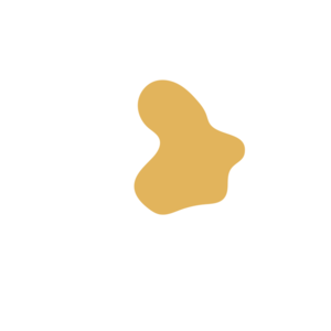 25bdc670-placeholder-1770025645