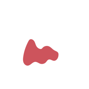 9cf9aa97-placeholder-1769022726