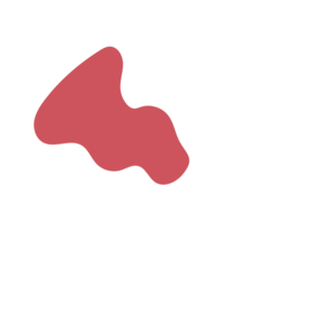 0add907e-placeholder-1770007855