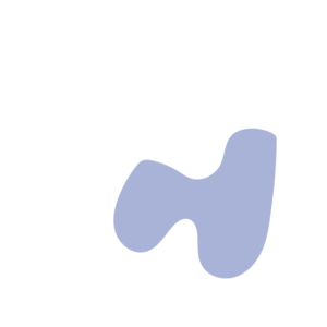 E8d3d51c-placeholder-1770012586