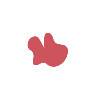 1a058729-placeholder-1770021384