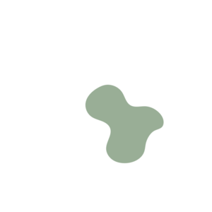 0e016143-placeholder-1768563516