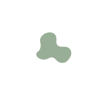 8e3a989d-placeholder-1770053538