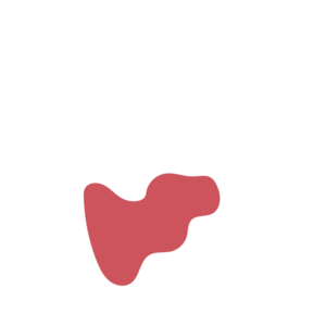 4cfc89e4-placeholder-1770017812