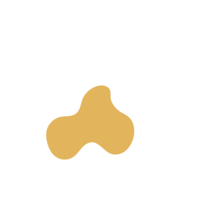 A41c8fa9-placeholder-1770006900