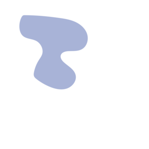 93f7041a-placeholder-1770053793