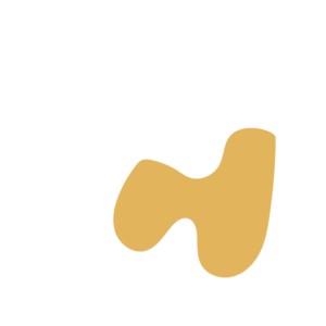 A0a93be6-placeholder-1770009621