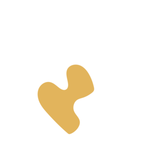 3dd248ad-placeholder-1771933292