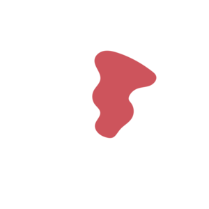 A207bc28-placeholder-1769976058