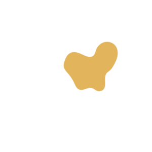 93ff1e9b-placeholder-1770047239