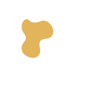 C8db6e4b-placeholder-1770006253