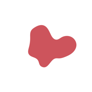 D4136bf6-placeholder-1770018689