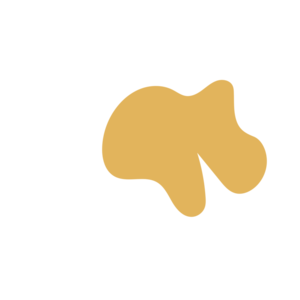 8f7b5c84-placeholder-1770004926