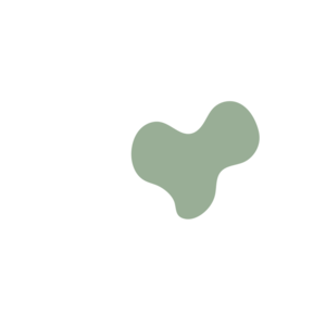 7aa59e12-placeholder-1770018228