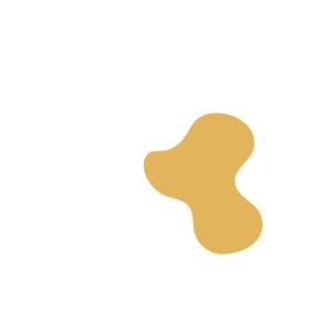 5e4a7126-placeholder-1770009199