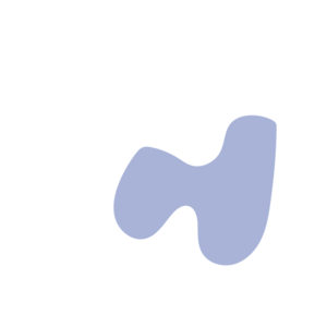 Ef502b72-placeholder-1770021382