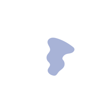 B2b60de4-placeholder-1771545617