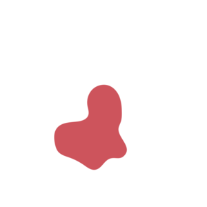 Ecc0d837-placeholder-1770008749