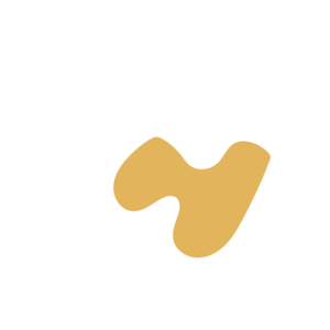 449f073d-placeholder-1770010733