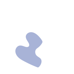 E1c4ad53-placeholder-1770006883