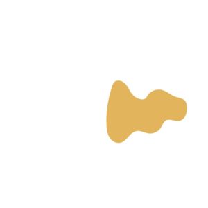 3d112d65-placeholder-1770009380