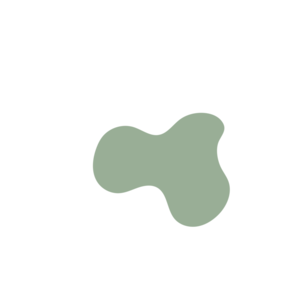 A276095c-placeholder-1770005875