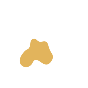 Fd6cea4b-placeholder-1770030274