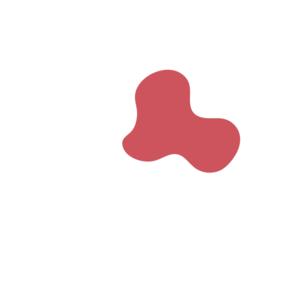 3bc84ee0-placeholder-1769976057