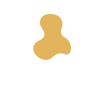 5c1bf4cf-placeholder-1770052439