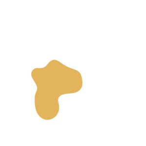 Bb890b69-placeholder-1770054856